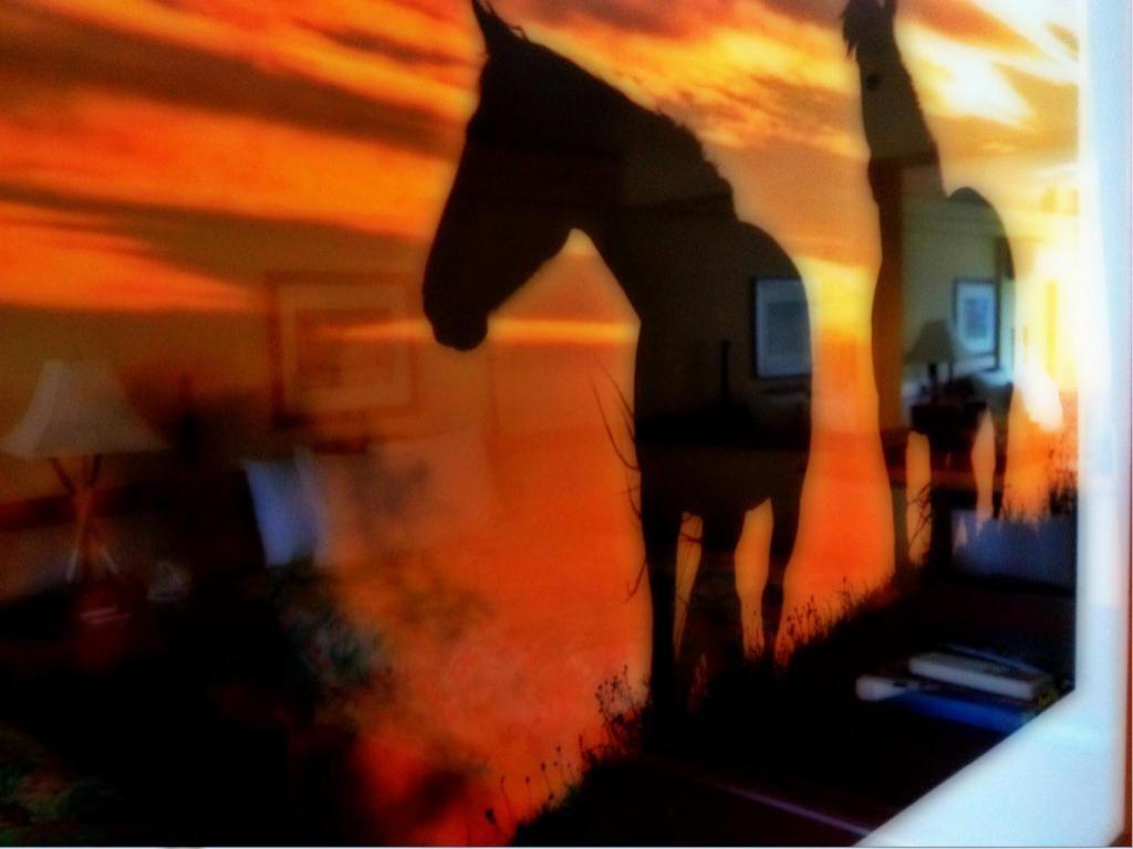 Hotel Equus Honolulu Zewnętrze zdjęcie