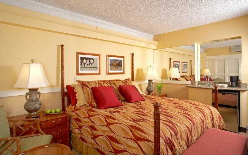 Hotel Equus Honolulu Pokój zdjęcie