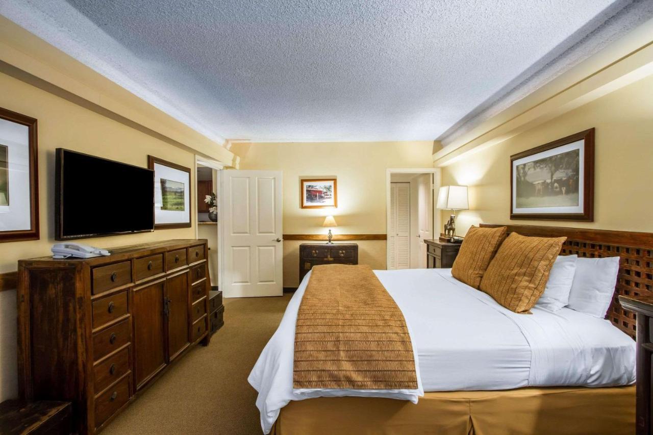 Hotel Equus Honolulu Zewnętrze zdjęcie