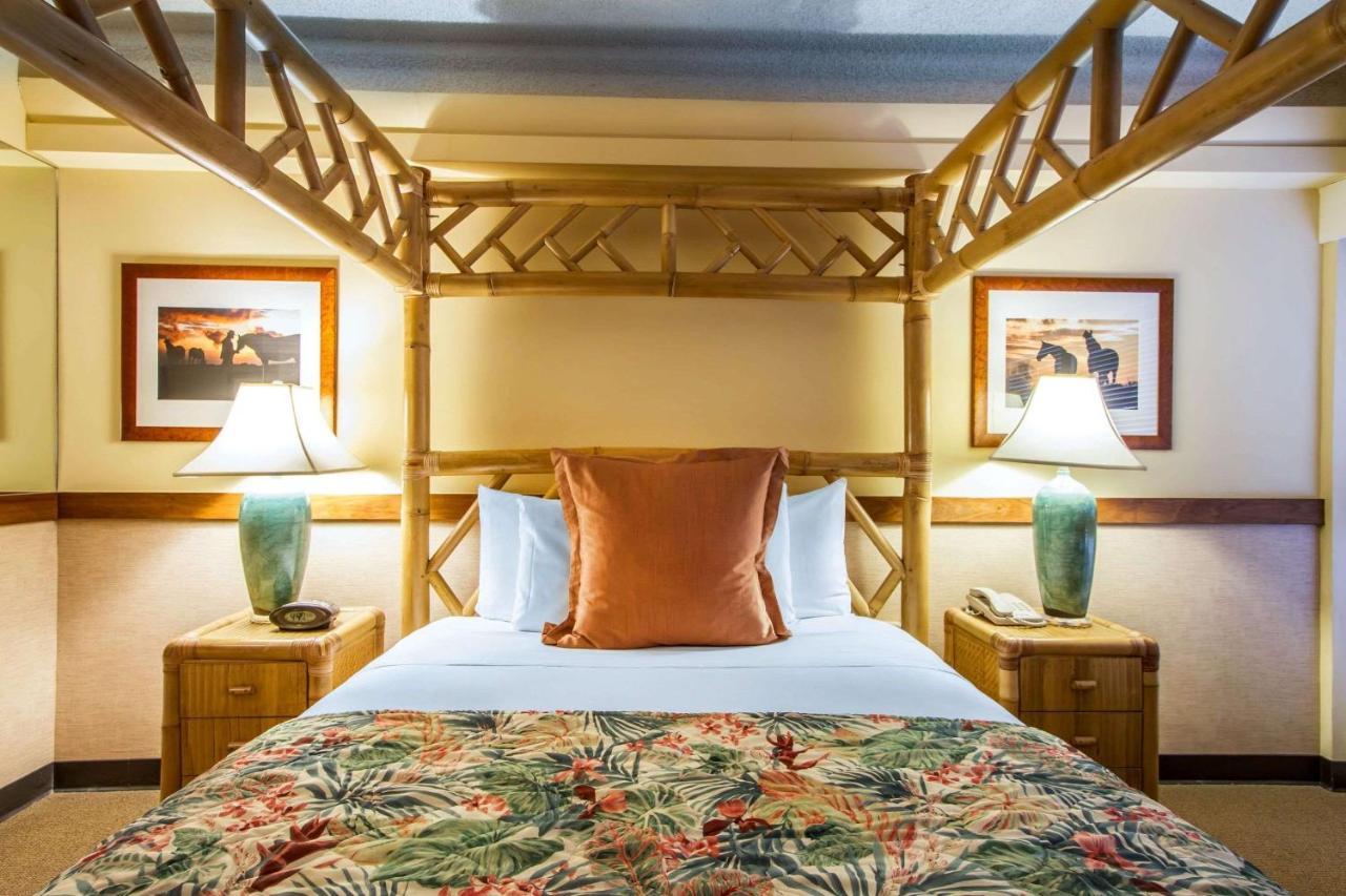Hotel Equus Honolulu Zewnętrze zdjęcie