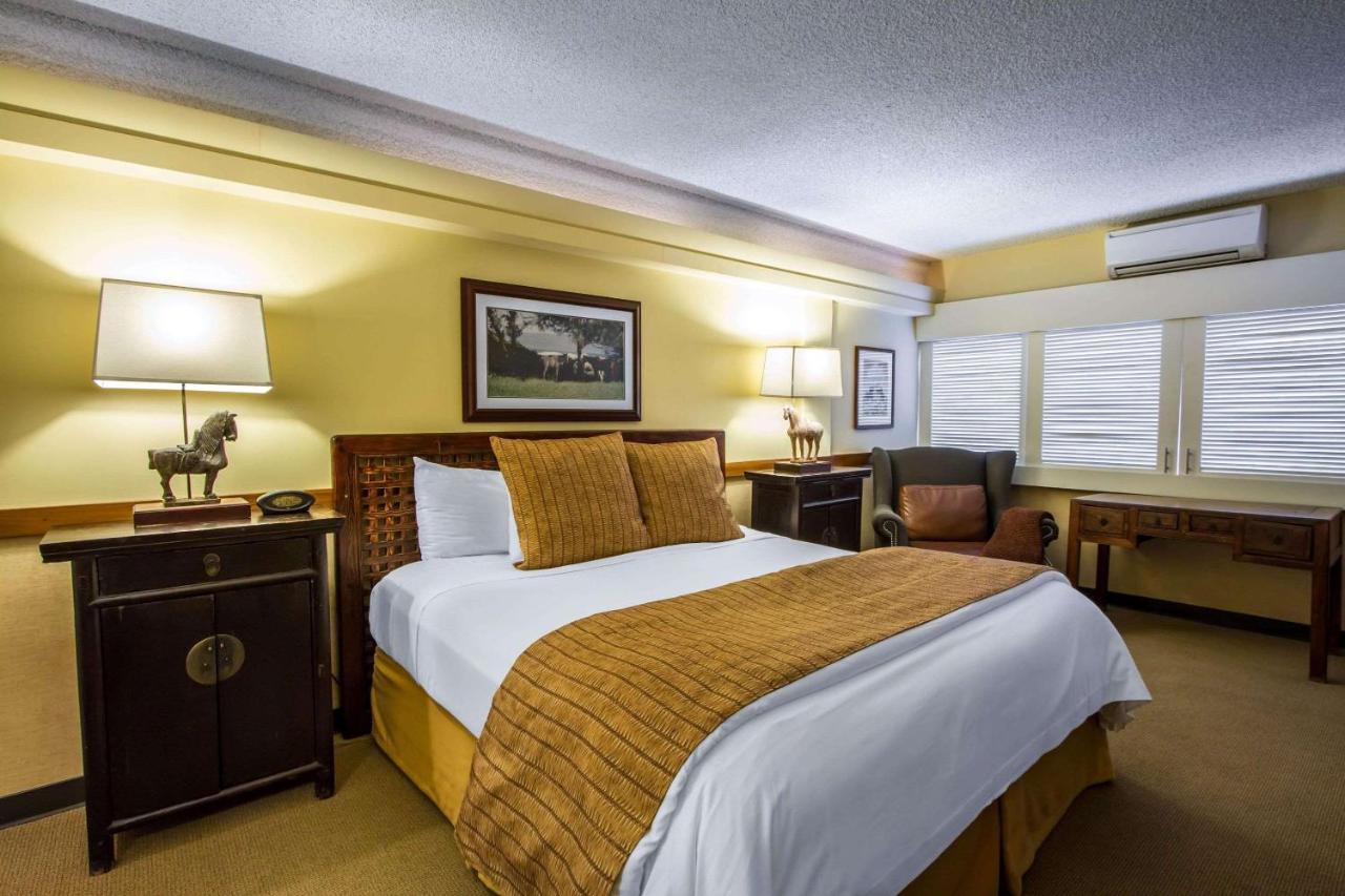 Hotel Equus Honolulu Zewnętrze zdjęcie