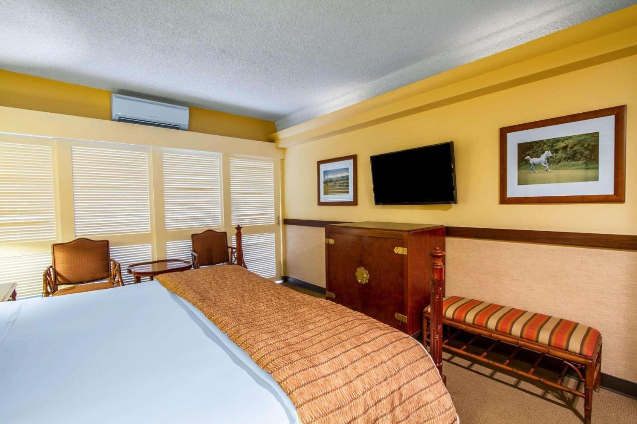 Hotel Equus Honolulu Zewnętrze zdjęcie